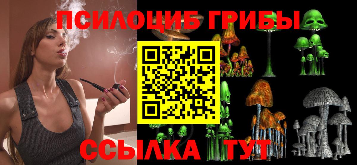 Галлюциногенные грибы MAGIC MUSHROOMS Азнакаево