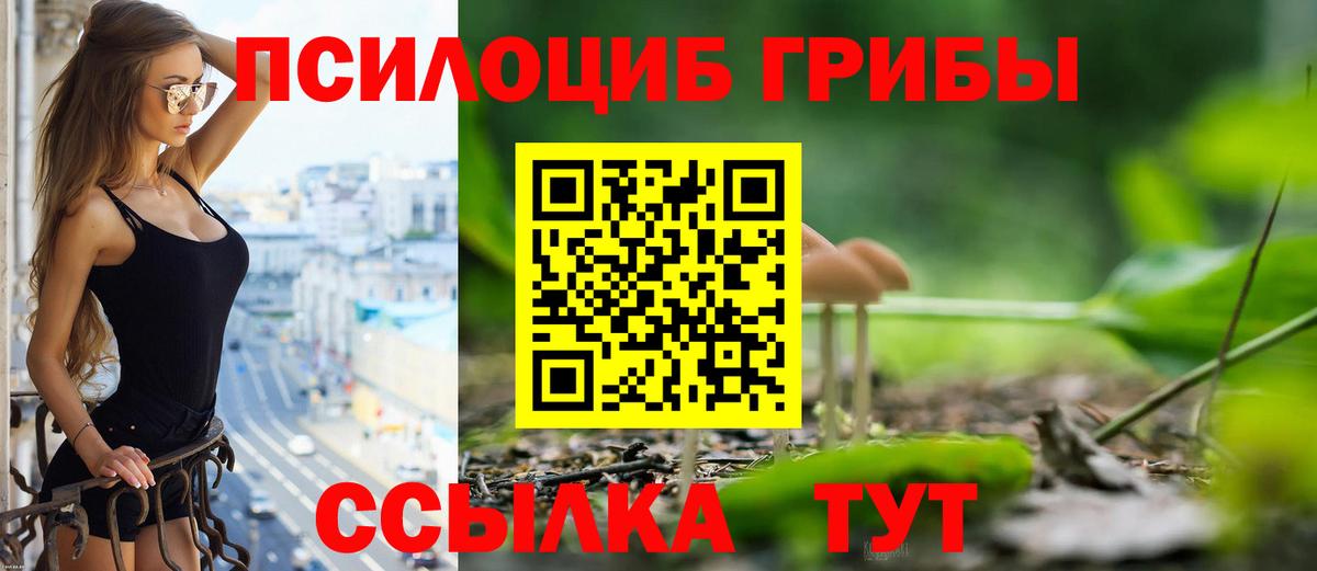 Азнакаево  Псилоцибиновые грибы Psilocybe  Вход с VPN 